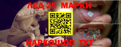 стафф Обь