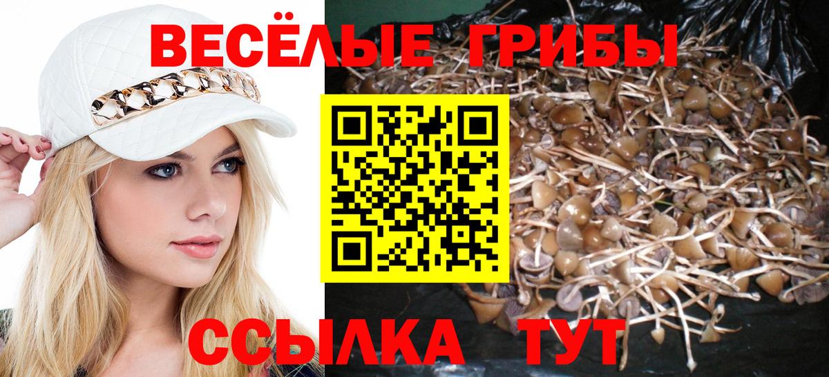 Псилоцибиновые грибы мухоморы  Вход с VPN  Псилоцибиновые грибы Psilocybe  Тара 